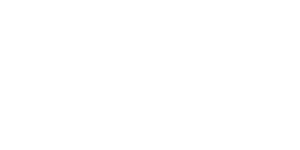 stripe-logo